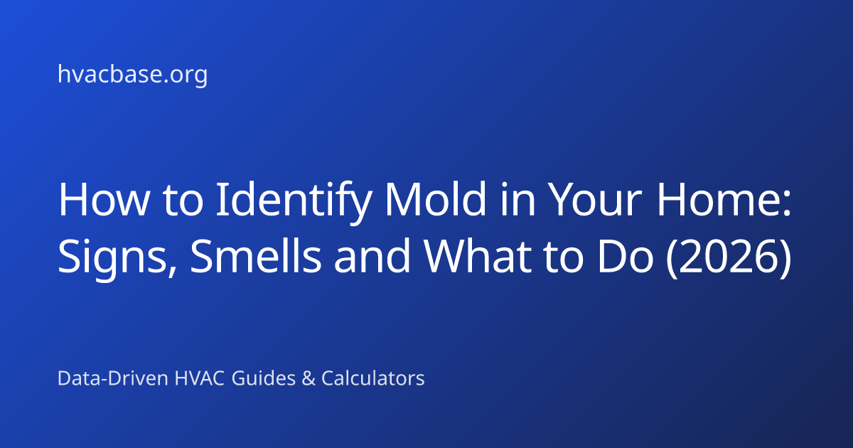 How to Identify Mold in Your Home: Signs, Smells and What to Do (2026 ...